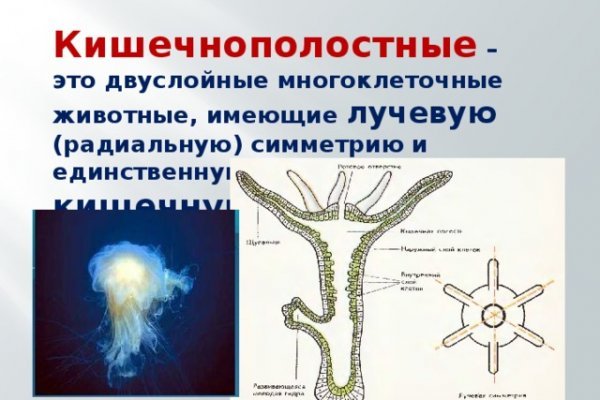 Как найти настоящую кракен даркнет ссылку